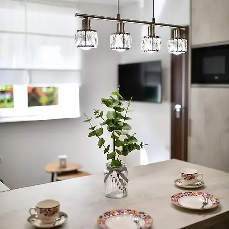 Brand New Apartment 